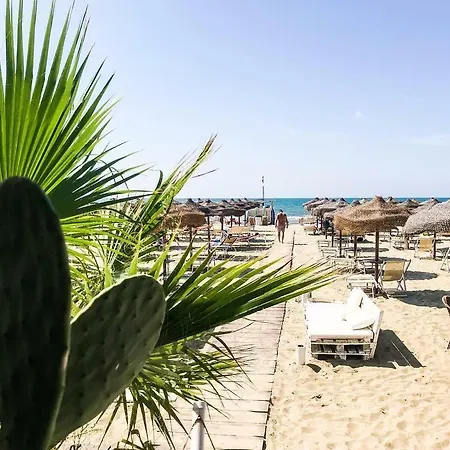 Casa de hóspedes In Con Piscina Tirrenia